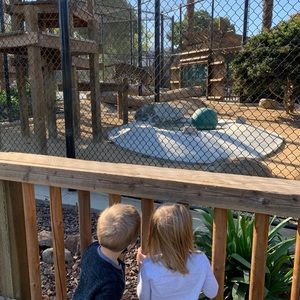 Meet your Posher, Courtney